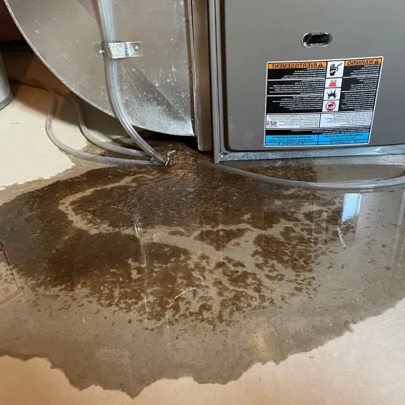 Pipe Burst and Leak Restoration in Detroit-Shoreway, OH